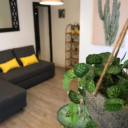 Apartment Cactus 2 Bedroom On Calle San Miguel Minutes From The By Namaste Elite