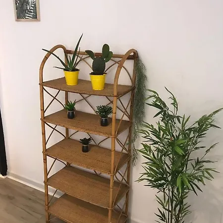 Cactus 2 Bedroom On Calle San Miguel Minutes From The By Namaste Elite Apartment Torremolinos